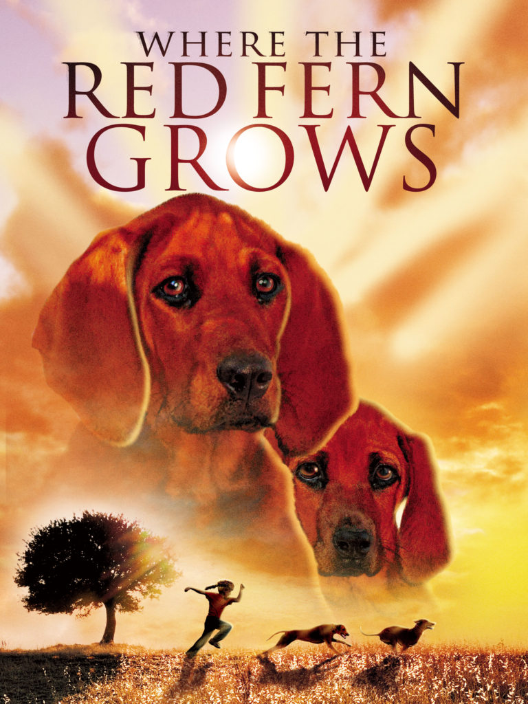 where-the-red-fern-grows-bmg-global-bridgestone-multimedia-group-movie-tv-distribution